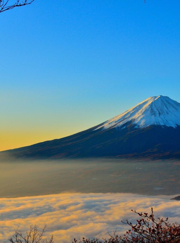 Mount Fuji private tour Tokyo to Mount Fuji day trip English-speaking driver Japan tour Private Mount Fuji sightseeing tour