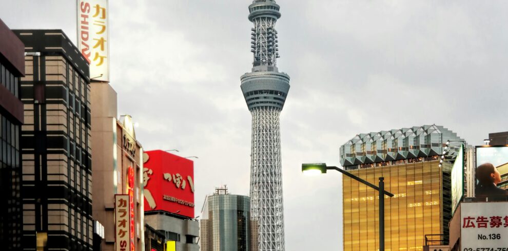 Private Tokyo full-day tour with English-speaking driver, visiting iconic landmarks and hidden gems