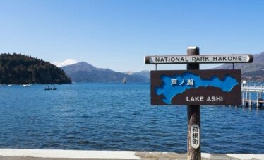 Mt. Fuji and Hakone Tour