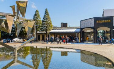 Explore Japan with Nihon Wanderlust Tours – Private and Customizable Day Trips