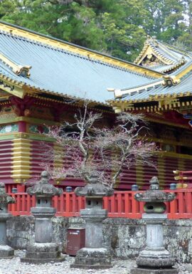 Nikkō Tōshō-gū Shrine in Japan with ornate architecture and cultural landmarks, popular for sightseeing tours and private day trips"