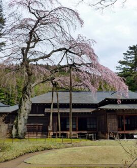 One Private Day Trip